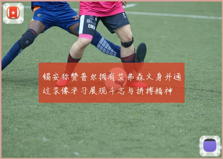 锡安称赞普尔拥有艾弗森文身并通过录像学习展现斗志与拼搏精神