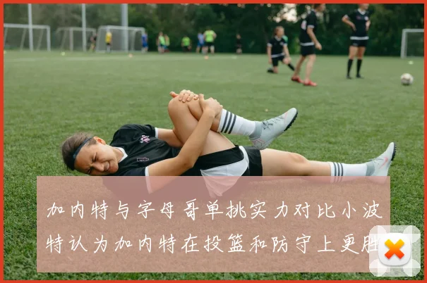 加内特与字母哥单挑实力对比小波特认为加内特在投篮和防守上更胜一筹