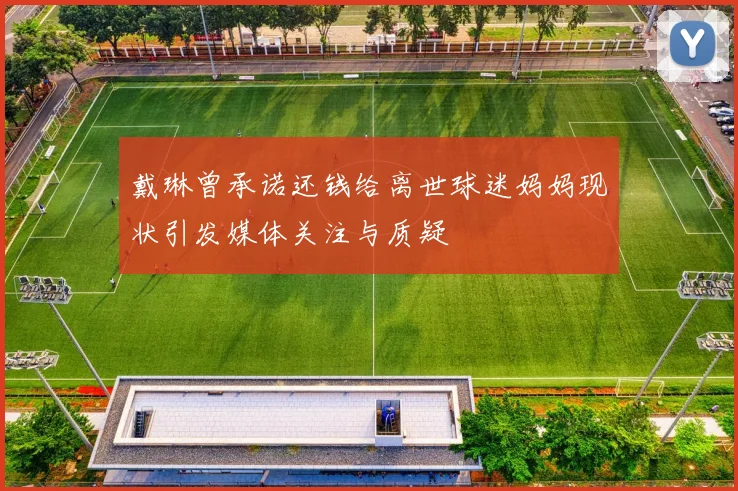 戴琳曾承诺还钱给离世球迷妈妈现状引发媒体关注与质疑