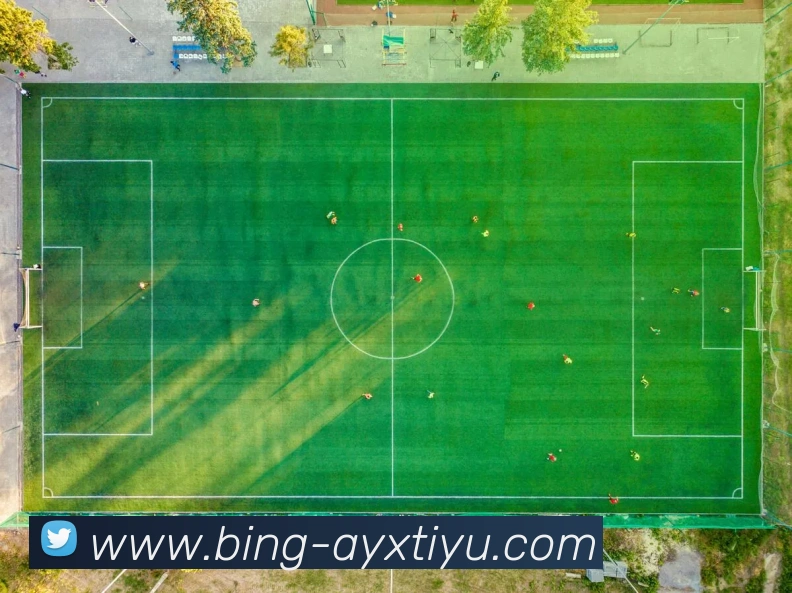 爱游戏体育APP 封面图